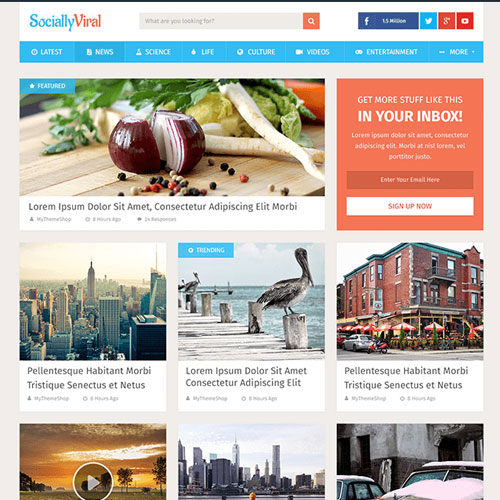 MyThemeShop Sosyal Viral WordPress Teması