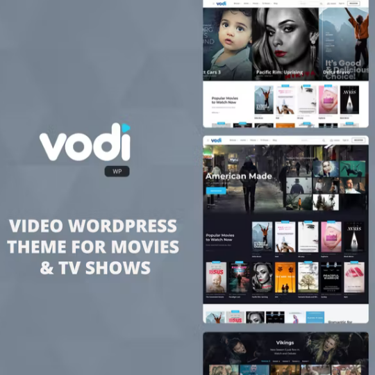 Vodi – Film & Video WordPress Teması